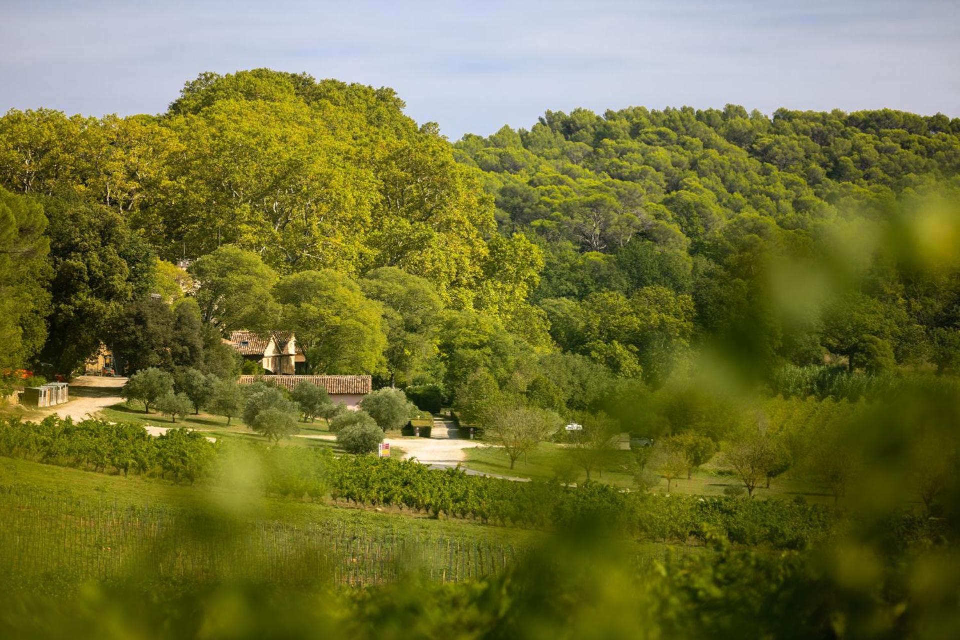 Chateau Mentone Masseboeuf Eksteriør billede